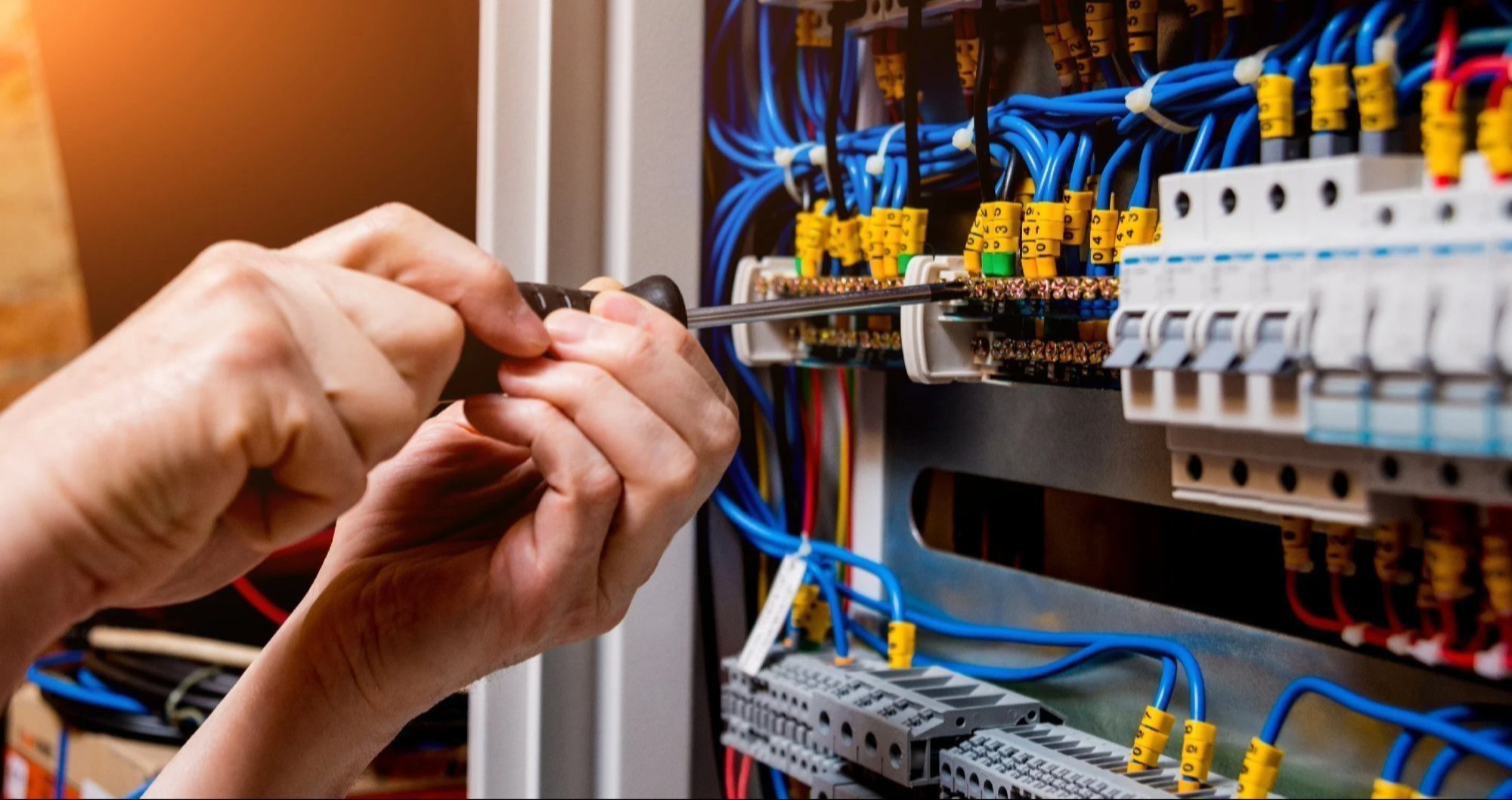 Electrical Applications Tool Organizer